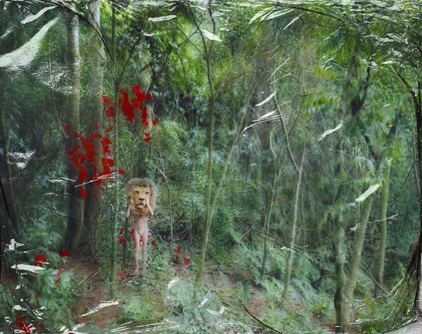 Photograph Gustavo Lacerda Lion on One Eyeland